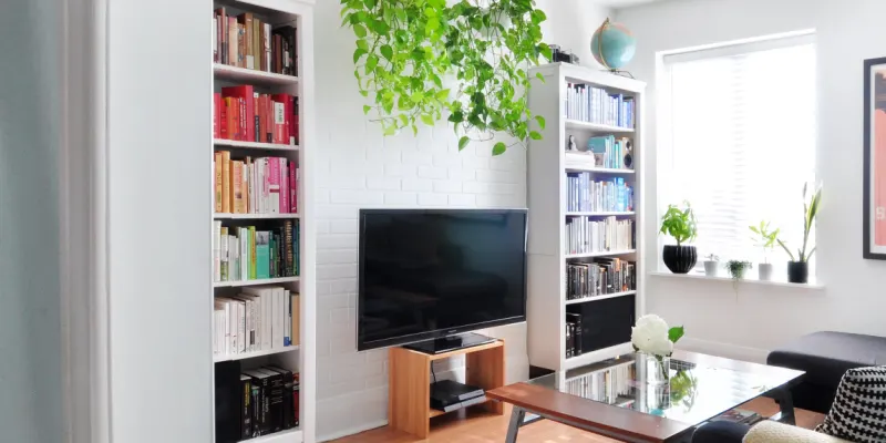 Automate These 3 Tasks for a Clutter-Free Home This Year